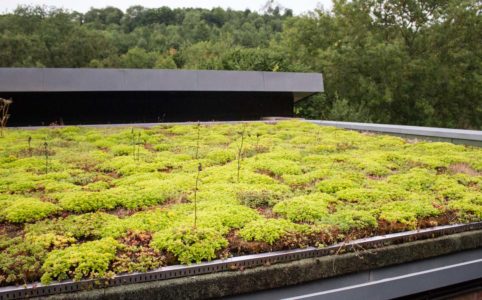 Konstrukce zelené střechy