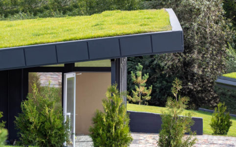 Pultová zelená střecha